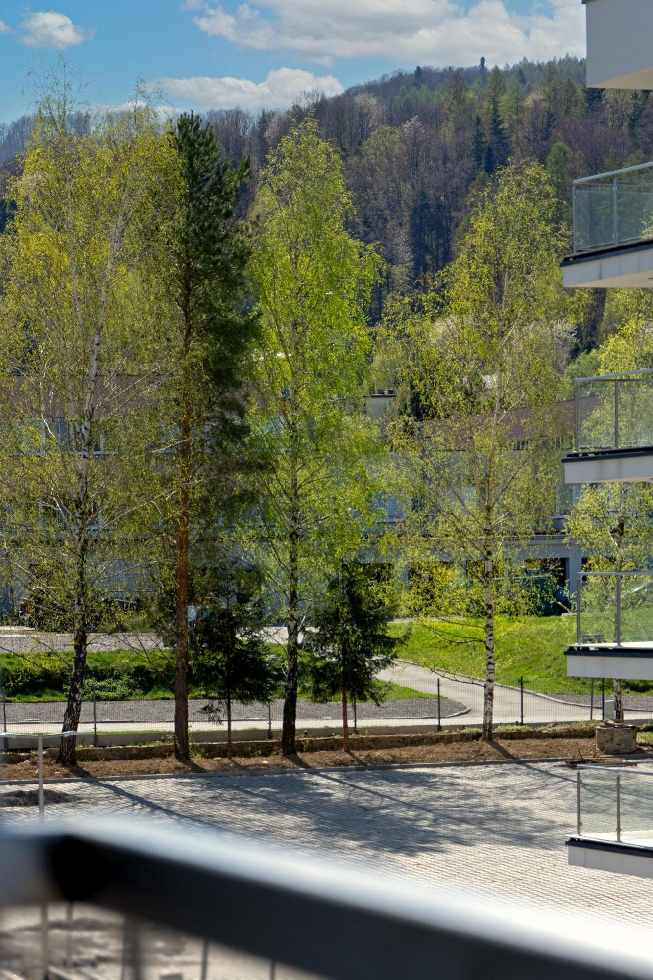 Szyndzielnia Hill Apartament # Nestapartamenty Bielsko-Biała Eksteriør bilde